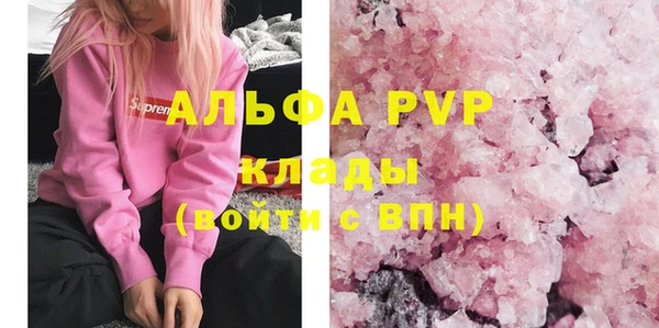 стафф Арсеньев