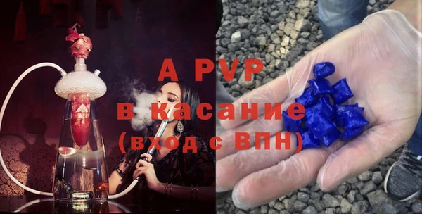 стафф Арсеньев