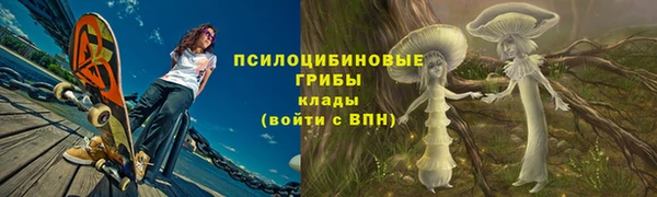стафф Арсеньев