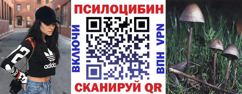 как найти   Белёв  shop клад  Галлюциногенные грибы Psilocybe 
